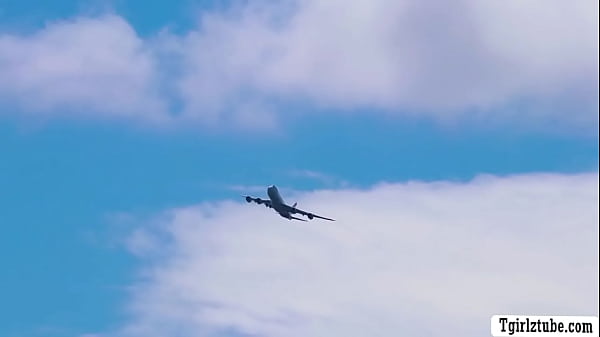 Aroused passenger fucked by TS flight attendant